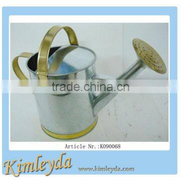 galvanized metal watering can