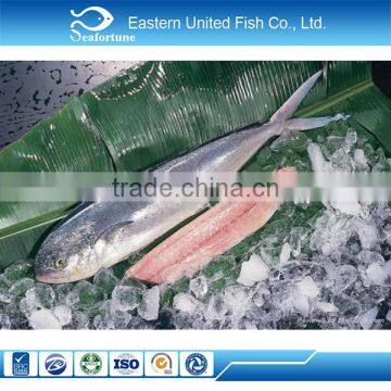 china seafood IQF raw material w/r mahi mahi whole round