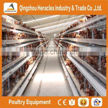 Trade Assurance automatic poultry equipment/layer chicken cage