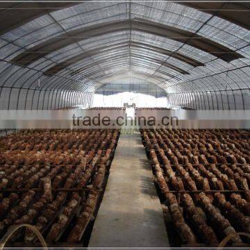 Low cost film covering mushroom greenhouse