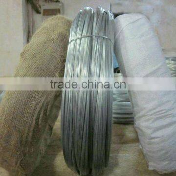 Electro Galvanized Wire photo-6