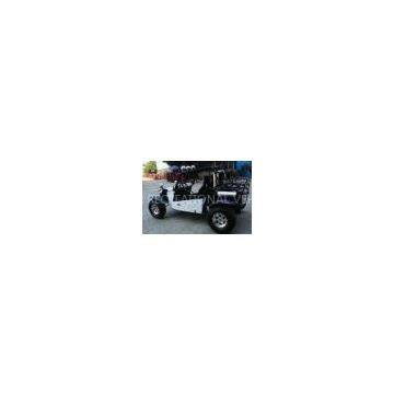 Chery SQRB2G06 Engine, Manual 4-speed-hydraulic Transmission Off Road Go Karts PYT600-EEC