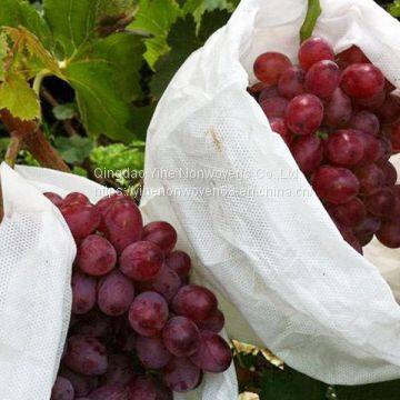 Non Woven Fabrics For Planting Bags CHINA photo-2