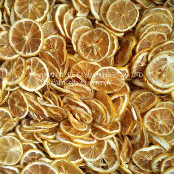 Lemon Slice Drying Machine photo-4