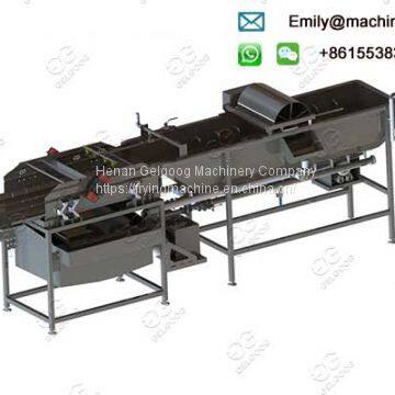 Automatic Vegetable and Fruit Washing Machine Manufacturer