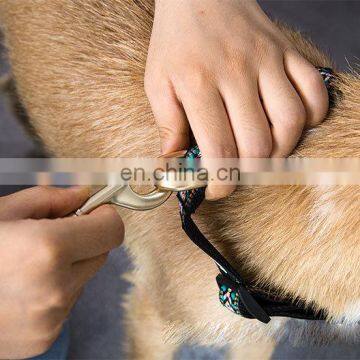 2020 Fashion Dog Collar And Cat Collar Adjustable Collars photo-3