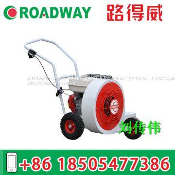 Road hair dryer RWCF11