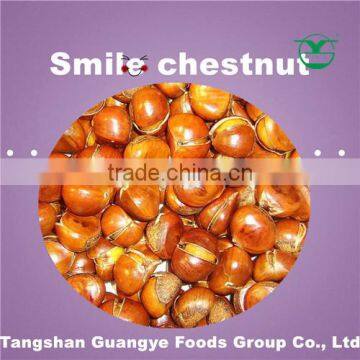 smile chestnut