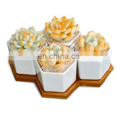 Wholesale Modern Mini White Ceramic Small Cactus Planter Pot Succulent Stand Flower Pots