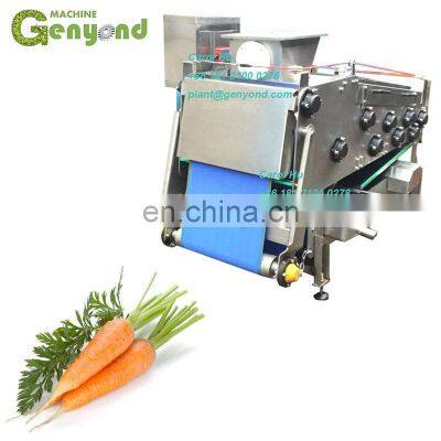 GYC-20 Juice Belt Press Machine photo-5