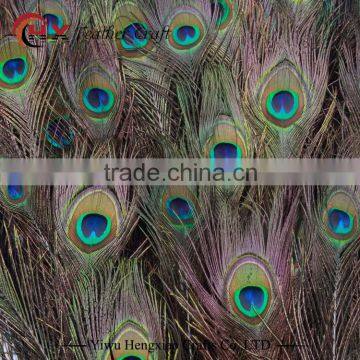 Factory Wholesale indian peacock feather for sale