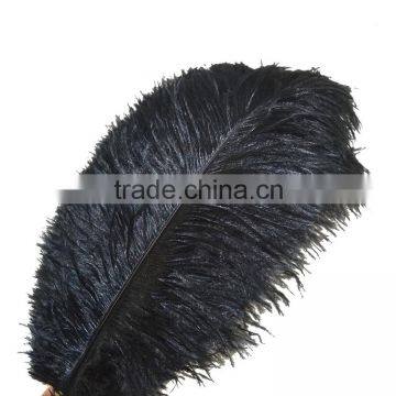 Carnival Decoration Ostrich Feathers, White Plumes, Dyed 20-30 Inches High Quality photo-5