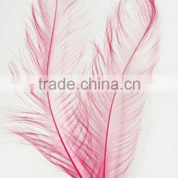 Ostrich feather,burnt ostrich feather in fuschia,millinery feathers in size 50-55cm                        
                                                Quality Choice