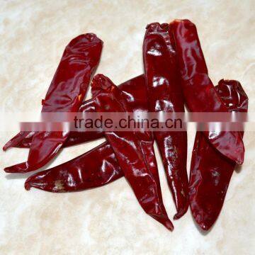 dry American red hot chili at competitive price