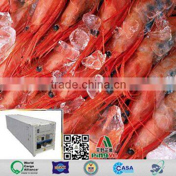 Sea Freight Container Loading Express Delivery Cheap Price Direct Service From China to Fos photo-5