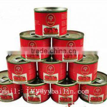 HOT!!Spaghetti Tomato Paste for Brand Sauce photo-3