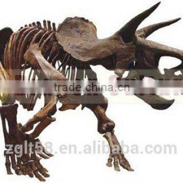 Fiberglass original size Triceratops Dinosaur Fossil