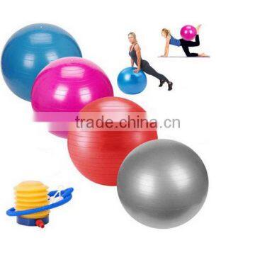 Fitness Yoga Ball