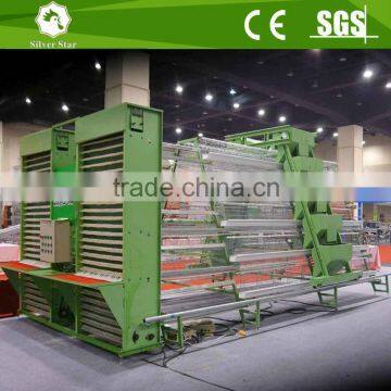 Automatic Layer Poultry a Type Chicken Cage photo-3