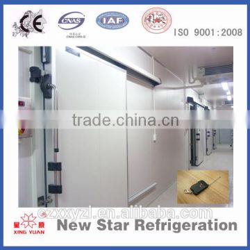 Manual sliding door for cold room/cold storage