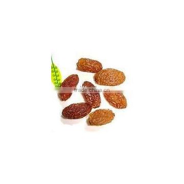 Brown Raisins sultana raisins red grape seedless raisin dried fruit snack fruit