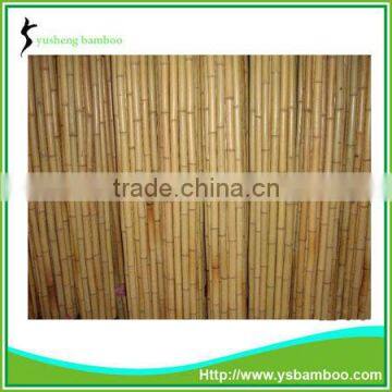 bamboo walking canes