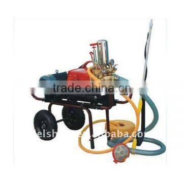 Electric sprayer DS-100502