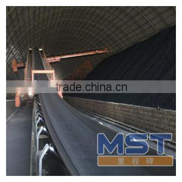 NN Ring-type Conveyor Belt