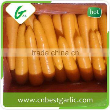 Bulk carrot production in china