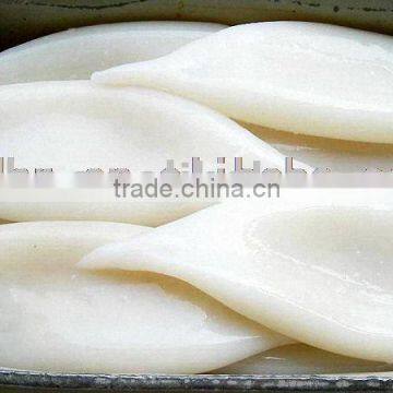 Fresh Frozen Squid