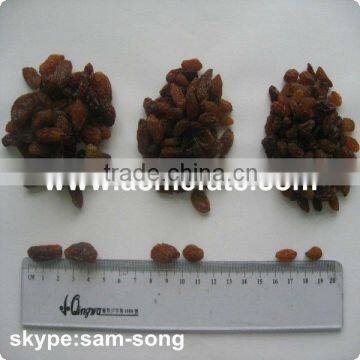 AAA Grade 95% Xinjiang Brown Raisin photo-3