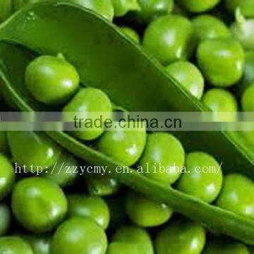 Canned Green Pea Protein