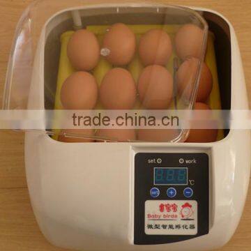 High quality poultry machines hatching 12 chicken eggs MJ-12 chicken mini egg incubator for sale