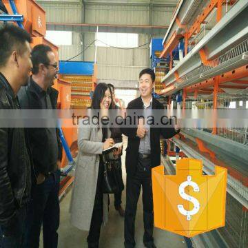 H Type Layer Chicken Cage for Poultry Farm photo-3