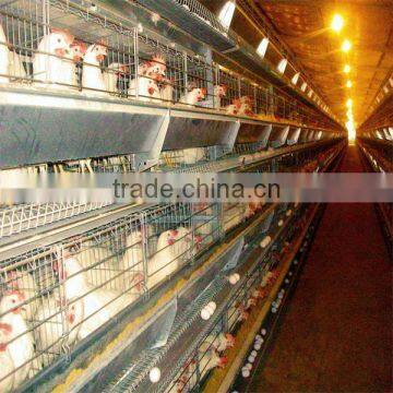 H type manual chicken cage/chicken coop with high quality