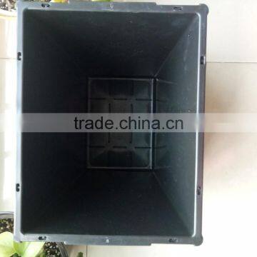 Tulip Pot for Transport and Plant photo-2