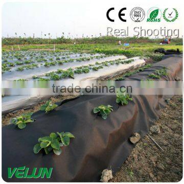 non-woven fabric agriculture non woven geotextile fabric