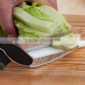 Stainless Steel Multifunctional Food Cutter Kitchen Knife photo-5