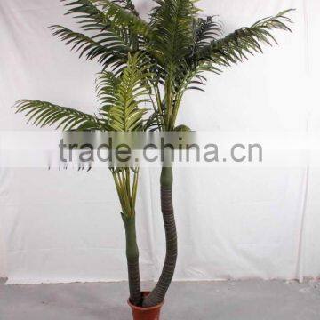 SJ12000357 Landscaping Decorative Outdoor Areca Palm photo-3