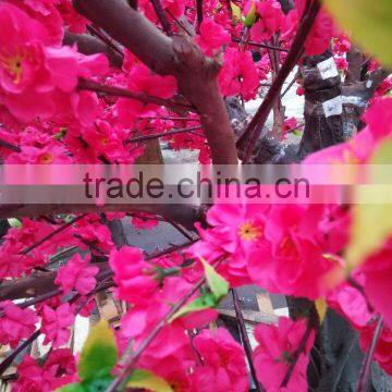 Peach Blossom Artificial Silk Flower Tree