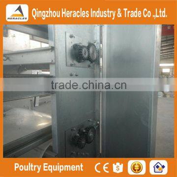 Trade Assurance Automatic Chicken Broiler Cage for Sale photo-6