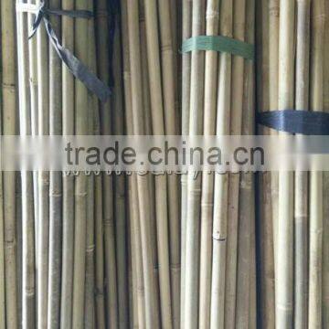 Different Sizes Tonkin Bamboo Stakes/poles/canes for Agriculture photo-3