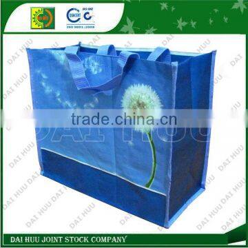 Various designs Laminated BOPP woven shopping bag