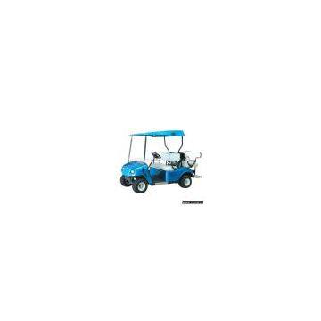 Sell 2200W Golf Buggy