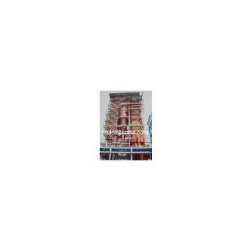 Biomass fuel fired steam boiler