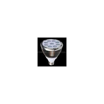Led PAR Light PAR30-9W1
