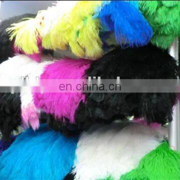 Wholesale South Africa Ostrich Feathers for Decoration Wedding Ostrich Feathers photo-6