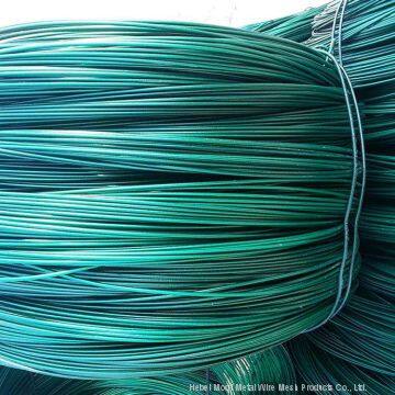 Plastic PVC PE Coated Galvanized Iron Wire for Consumer Product Packing Daily Binding photo-3