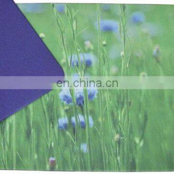 Персонально распечатанная экологически чистая антискользящая рулонка для йоги из TPE, соответствующая стандартам REACH photo-6