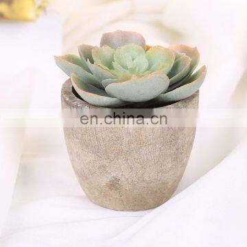 Fake plants simulate succulent bonsai creative flowers simulate potted plants potted trinket